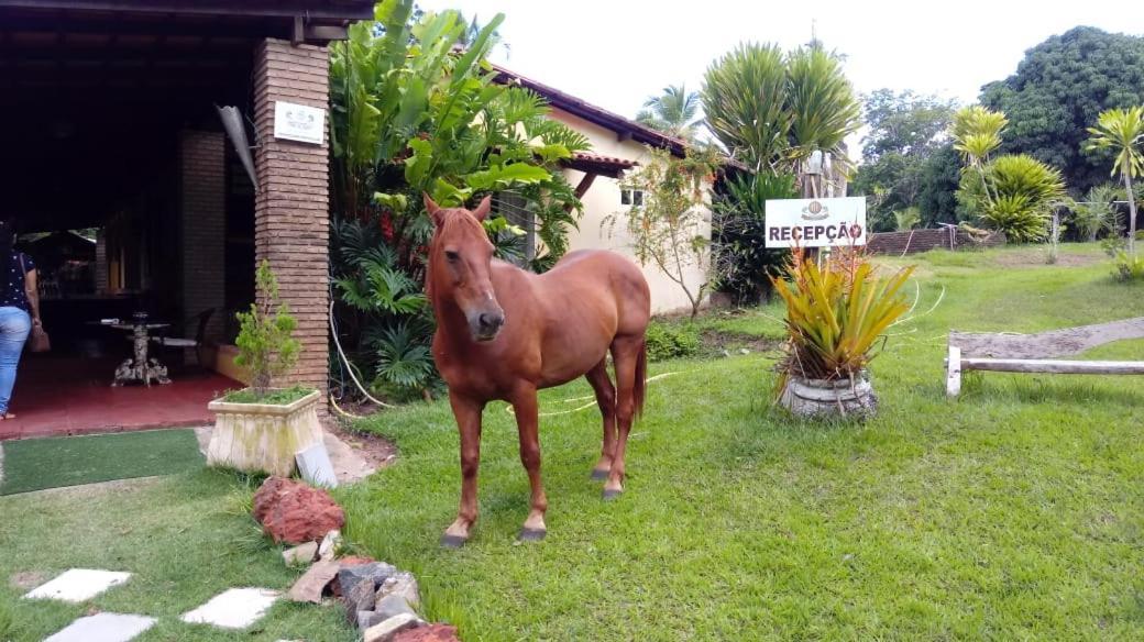 Hotel Fazenda Agua Da Prata Agri Turismo กามาซารี ภายนอก รูปภาพ