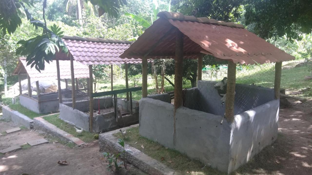 Hotel Fazenda Agua Da Prata Agri Turismo กามาซารี ภายนอก รูปภาพ
